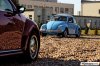 Volkswagen Beetle – Kraft durch Liebe