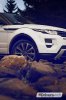 Range Rover Evoque SD4 – vyšší společnost